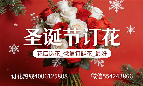 衡阳衡南县花店送花_微信订鲜花_圣诞节订花_最好? 衡阳衡南县花店