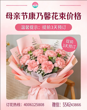 衡阳衡南县花店母亲节康乃馨花束