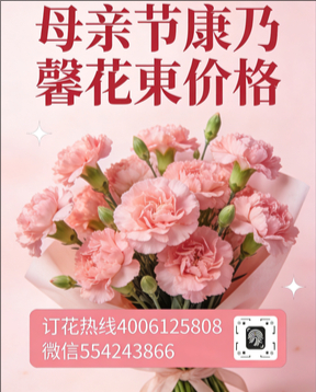 衡阳衡南县花店母亲节康乃馨花束